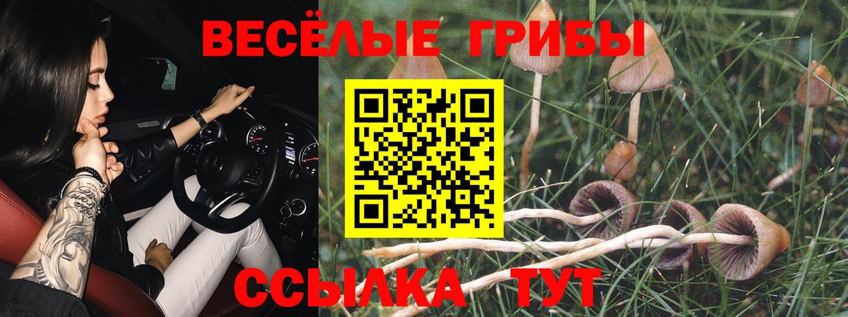 Псилоцибиновые грибы Magic Shrooms  Вход с VPN  Лангепас 